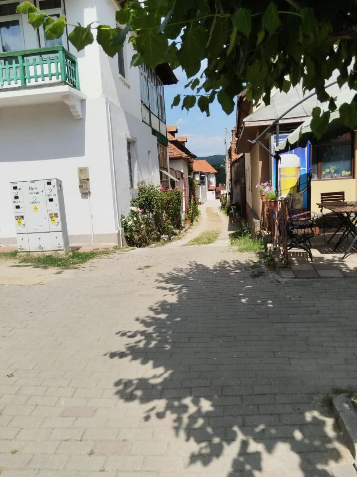 Urbanist Guest House Calimanesti Luaran gambar